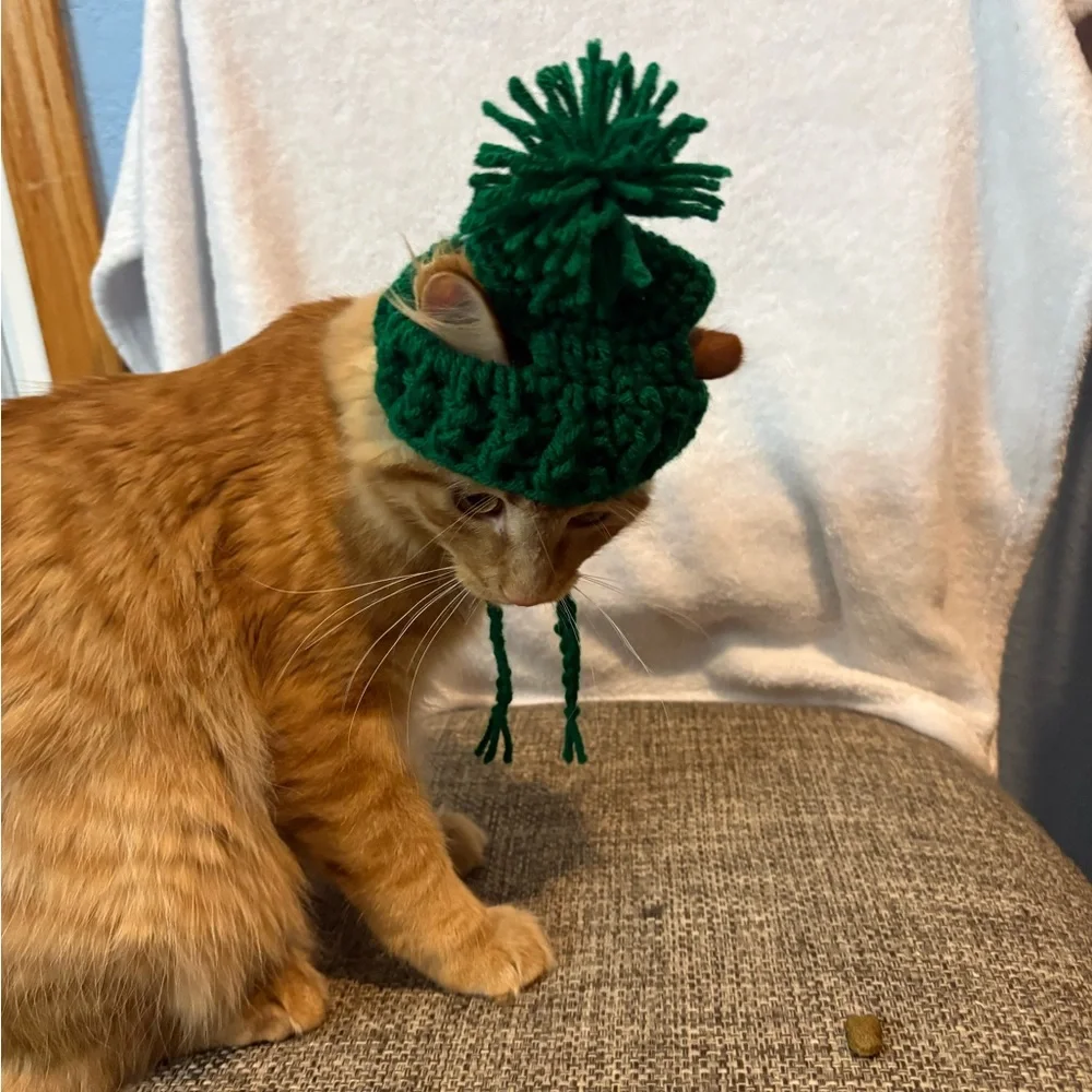 Green Cat Hat stocking hat